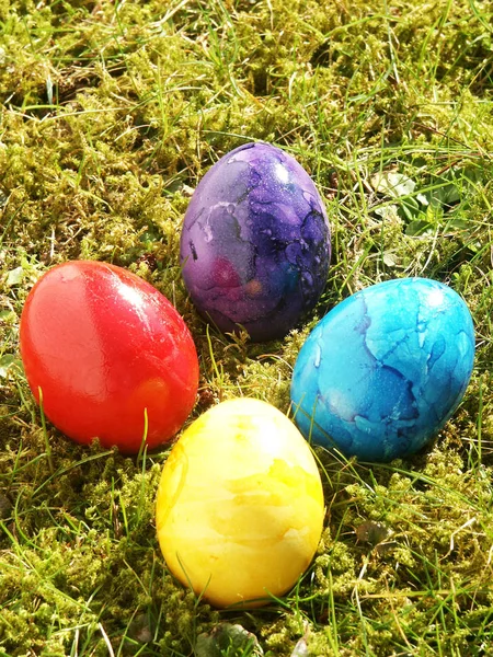 Many Colorful Eggs Grass — Photo