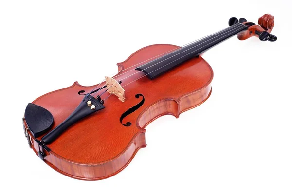 Скрипка Ізольована Білому Фоні — стокове фото