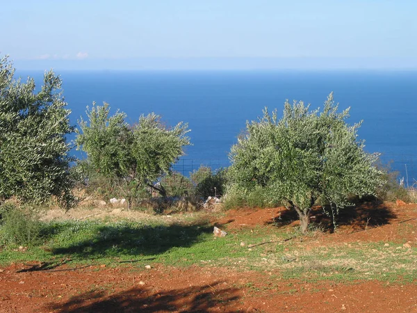 Критський Острів Греції — стокове фото