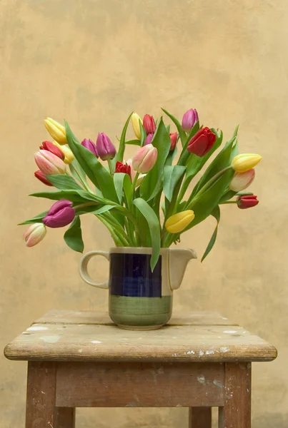 Spring Tulips Flowers Flora — Stock Photo, Image