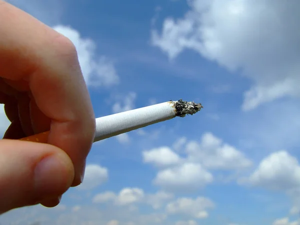 Cigareta Typický Tabák — Stock fotografie