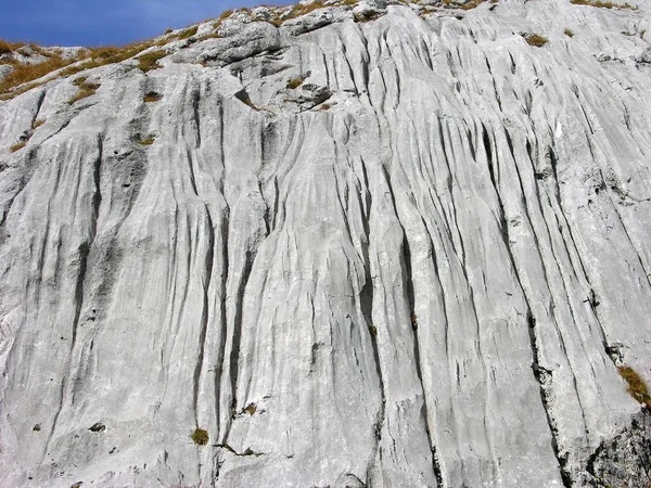 Тирольских Альпах — стоковое фото