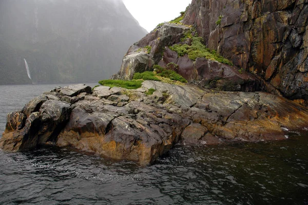 Milford Sound Fiordland New Zealand Nwho Discovered Seal Dimensions Can — Foto de Stock
