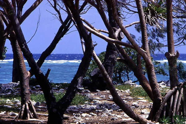 Krásná Tropická Pláž Krajina — Stock fotografie