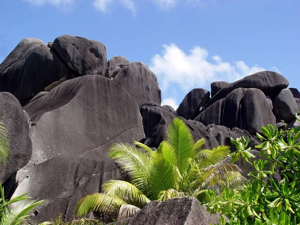 Seychelles Indian Ocean Mahe Island Views Eden Island — Stock Photo, Image