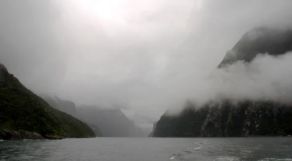 밀퍼드 사운드 Fiordland 새로운 광신자와 — 스톡 사진