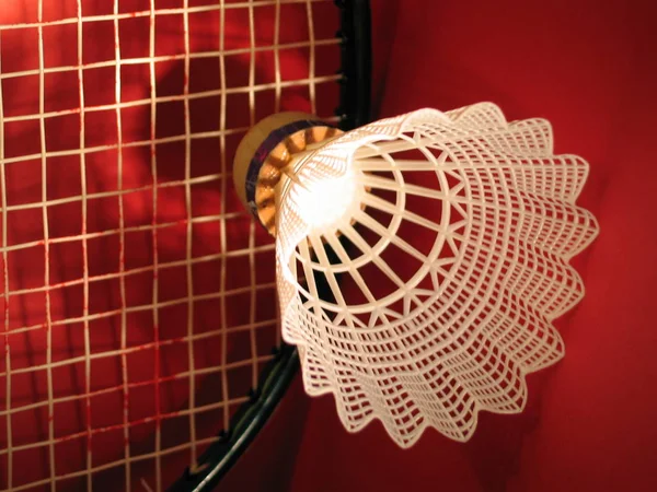 Badminton Jeu Actif Sport — Photo