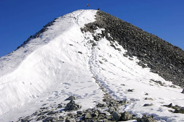 Güzel Alpler Manzarasının Manzarası — Stok fotoğraf