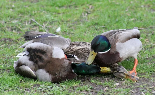 Určitém Okamžiku Bylo Příliš Pozdě — Stock fotografie