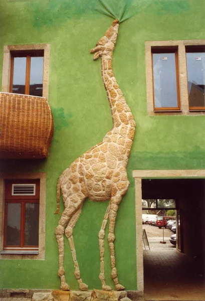 Einem Hof Von Dresden — Stockfoto