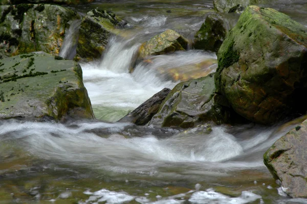 Hermosa Vista Naturaleza Escena — Foto de Stock