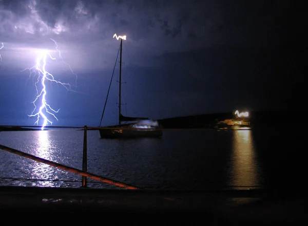 Knipperende Zee Nee — Stockfoto