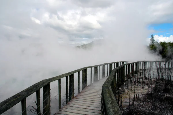 Rotorua Φύση Νέα Ζηλανδία — Φωτογραφία Αρχείου