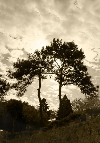 Malerischer Blick Auf Die Natur — Stockfoto