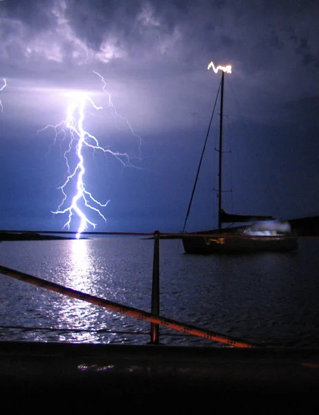 Knipperende Zee Nee Gesneden — Stockfoto