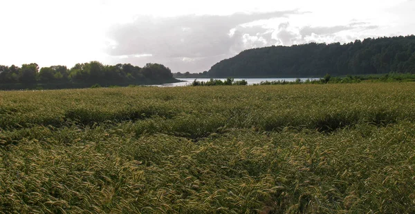 Bella Vista Sulla Zona Rurale — Foto Stock