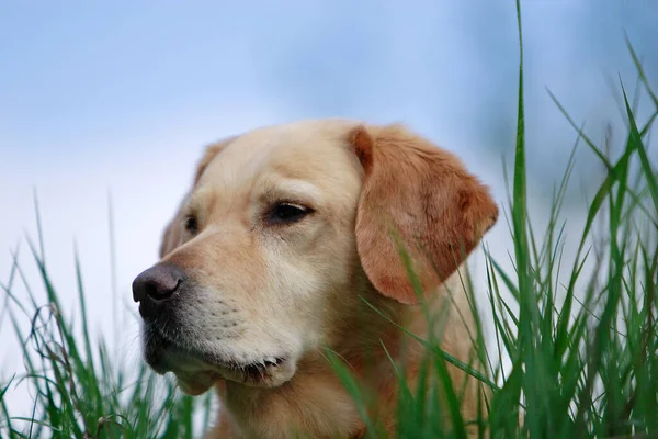 Verte Vanmorgen Het Nog Leuk Heb Gebruik Van Gemaakt — Stockfoto