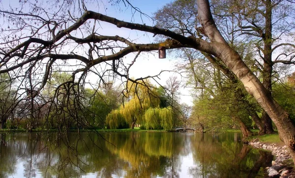 Afternoon Photographed George Garden Hanover Unfortunately Common Time Rain — Stock Photo, Image