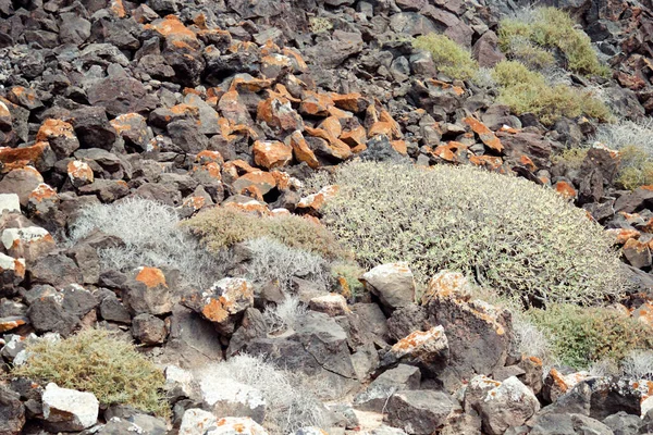 Foto Naturaleza Geología Formación Del Paisaje — Foto de Stock