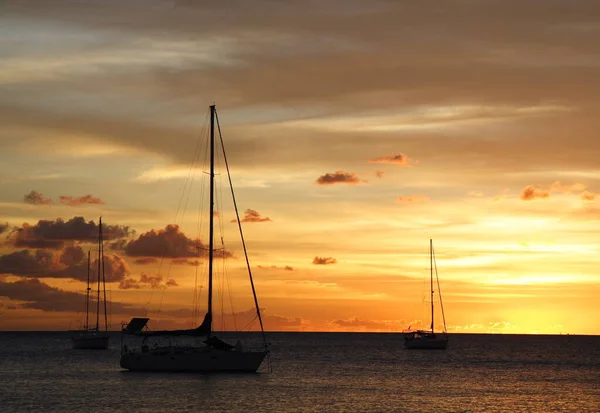 Golden Caribbean Sunset Hajóút — Stock Fotó