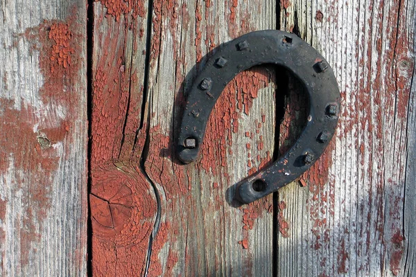 Close Metal Horsesshoe — стоковое фото