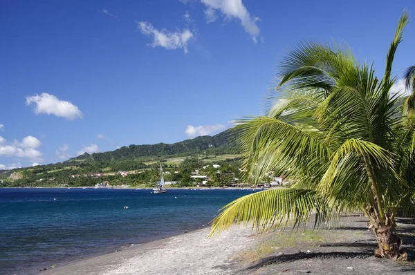 Карибський Пляжний Вид Вдень — стокове фото