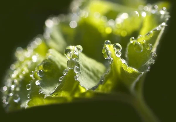 Imagem Conceitual Gotas Água Abstratas — Fotografia de Stock