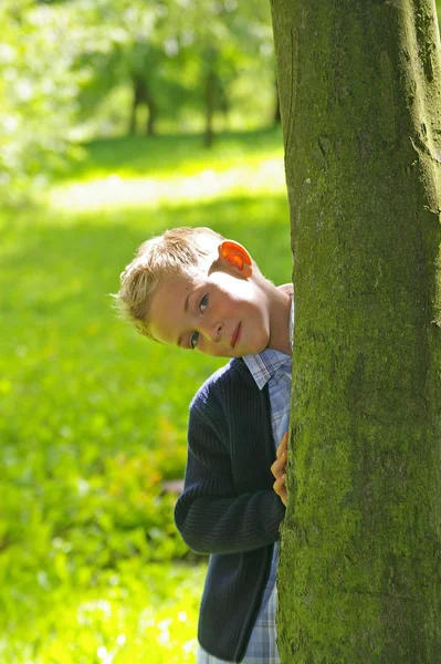 Boy Tree Daytime Royalty Free Stock Images