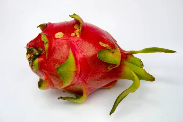 Schöne Botanische Aufnahme Natürliche Tapete — Stockfoto