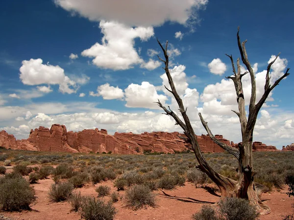 Łuki Park Narodowy Utah Usa — Zdjęcie stockowe