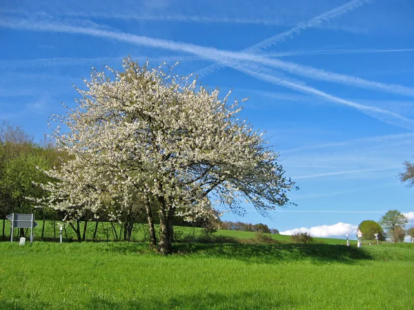 Scenic View Agriculture Countryside — Stock Photo, Image