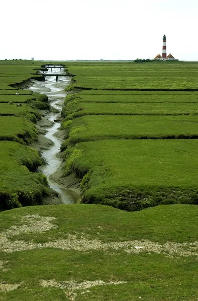 Pintoresca Vista Del Paisaje Rural — Foto de Stock