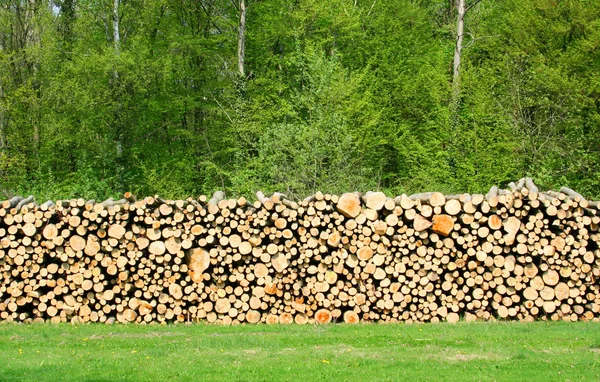 Klády Dřevo Palivové Dříví Kmeny — Stock fotografie