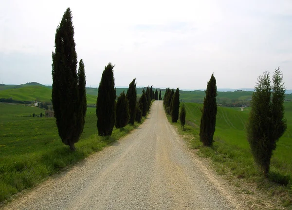 Regionen Toscana Centrala Italien — Stockfoto