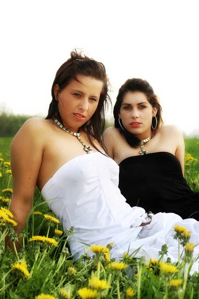 Zwei Schöne Mädchen Einem Feld — Stockfoto