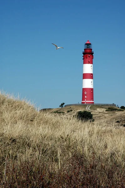 Leuchtturm Bei Tag — Stockfoto