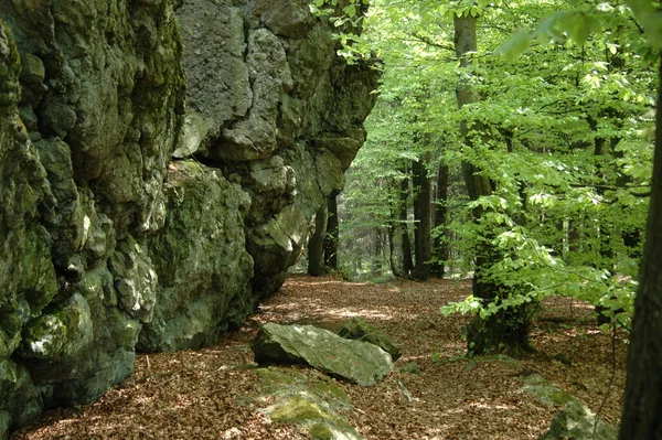 Bella Vista Del Paesaggio Naturale — Foto Stock