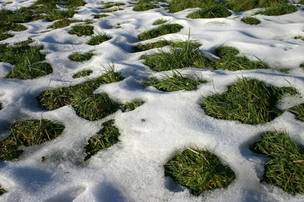 Sneeuw Rust Een Weide — Stockfoto