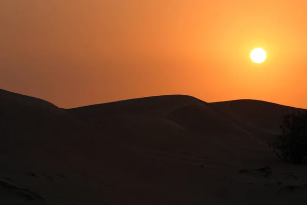 Verano Caliente Desierto Arenoso Paisaje Dunas —  Fotos de Stock