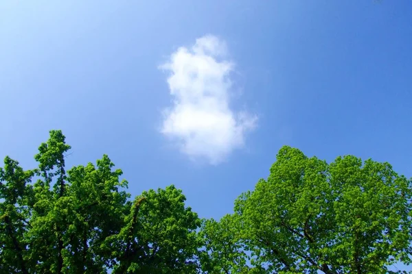 Schöne Naturlandschaft Mit Wolken — Stockfoto