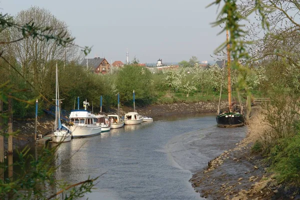 Rivier Bij Laagwater — Stockfoto