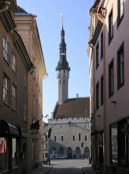 Consiglio Comunale Tallinn Unico Municipio Gotico Intatto Europa — Foto Stock