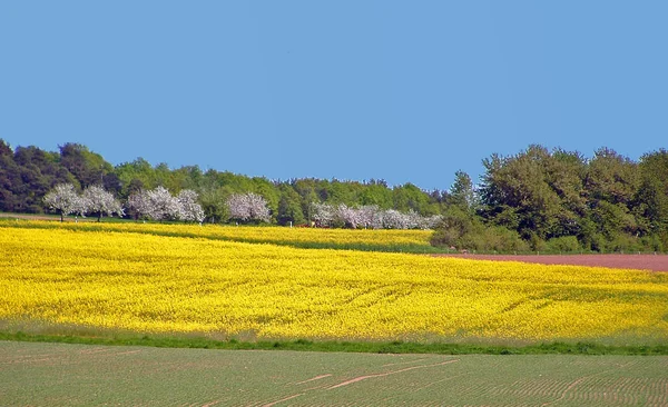 Мальовничий Вид Сільські Пейзажі — стокове фото