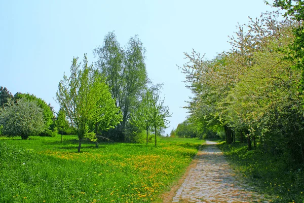 Prachtig Uitzicht Natuur — Stockfoto