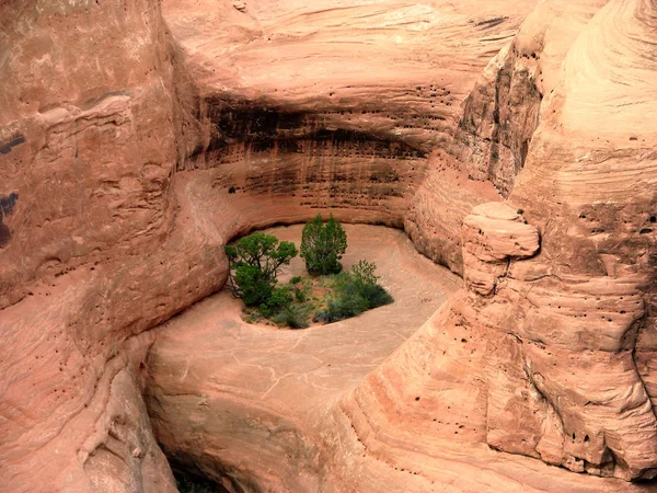 arches n.p. : if you turn at this point to 180 degrees you can see the delicate arch.