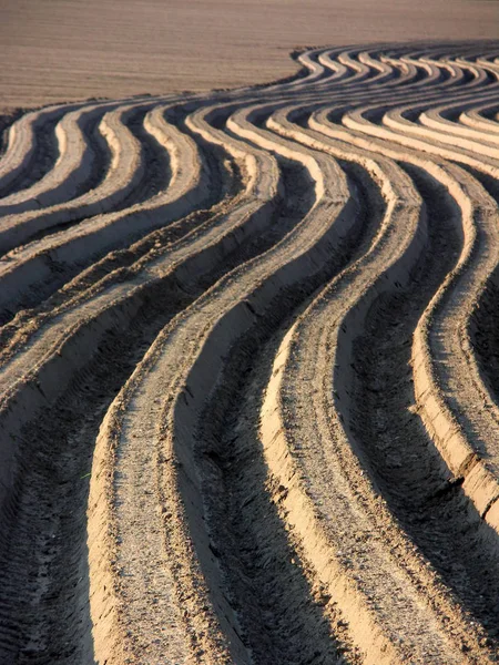 砂漠の道路は — ストック写真