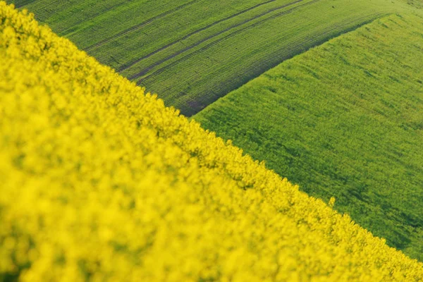 Pittoresk Uitzicht Landschap — Stockfoto