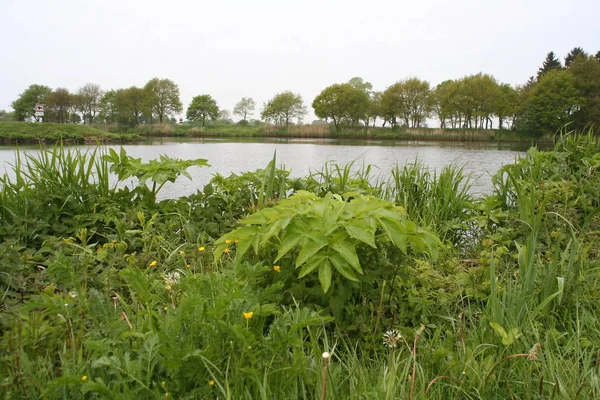 Vue Pittoresque Sur Les Paysages Campagne — Photo