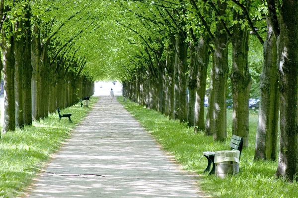 Schöne Aussicht Auf Die Natur — Stockfoto