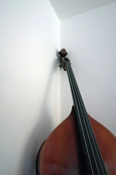 Скрипка Білому Фоні — стокове фото